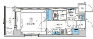 フェニシア学芸大学の物件間取画像